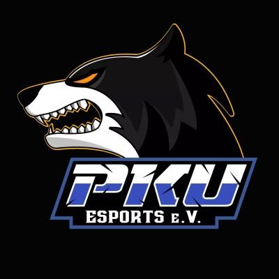 PKU eSports e. V.